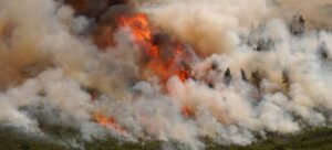 Wildfire Alert Glitch Triggers Accidental Warning to Millions in LA County