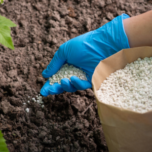 Fertilizer Manufacturer Fined $400K After Worker Dies from Toxic Gas Exposure