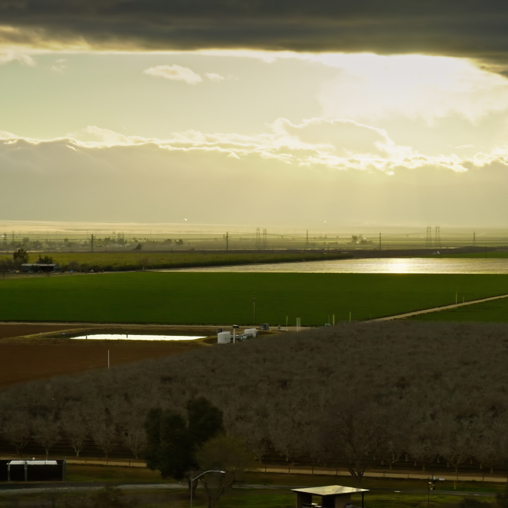 San Joaquin County DA Secures Felony Conviction in Workers’ Comp Fraud Case