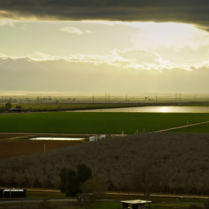 San Joaquin County DA Secures Felony Conviction in Workers’ Comp Fraud Case