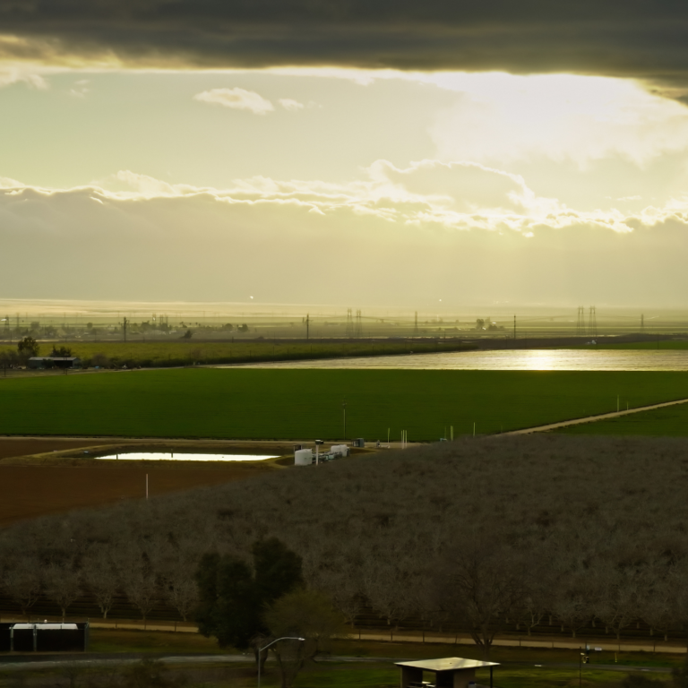 San Joaquin County DA Secures Felony Conviction in Workers’ Comp Fraud Case