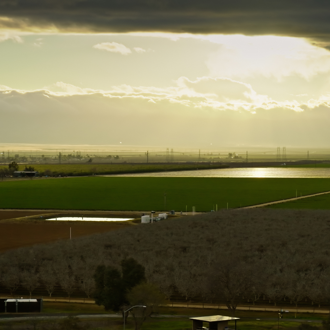 San Joaquin County DA Secures Felony Conviction in Workers’ Comp Fraud Case