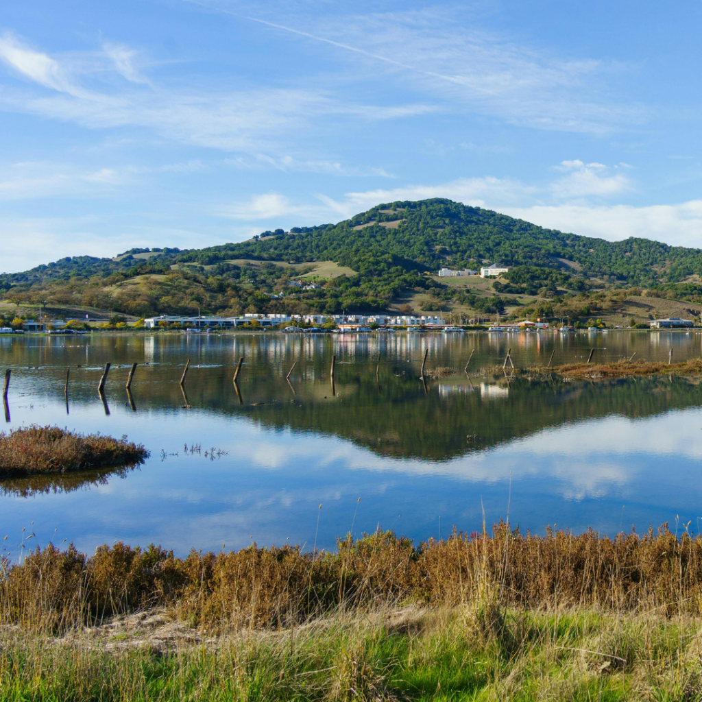 Former Tehama County Correctional Officer Sues County Over False Fraud Accusations