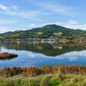 Former Tehama County Correctional Officer Sues County Over False Fraud Accusations