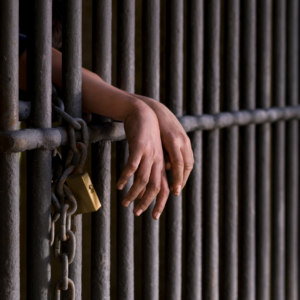 Reality TV Star Steven McBee Sr. Sentenced to 24 Months in Prison for $3.15M Crop Insurance Fraud