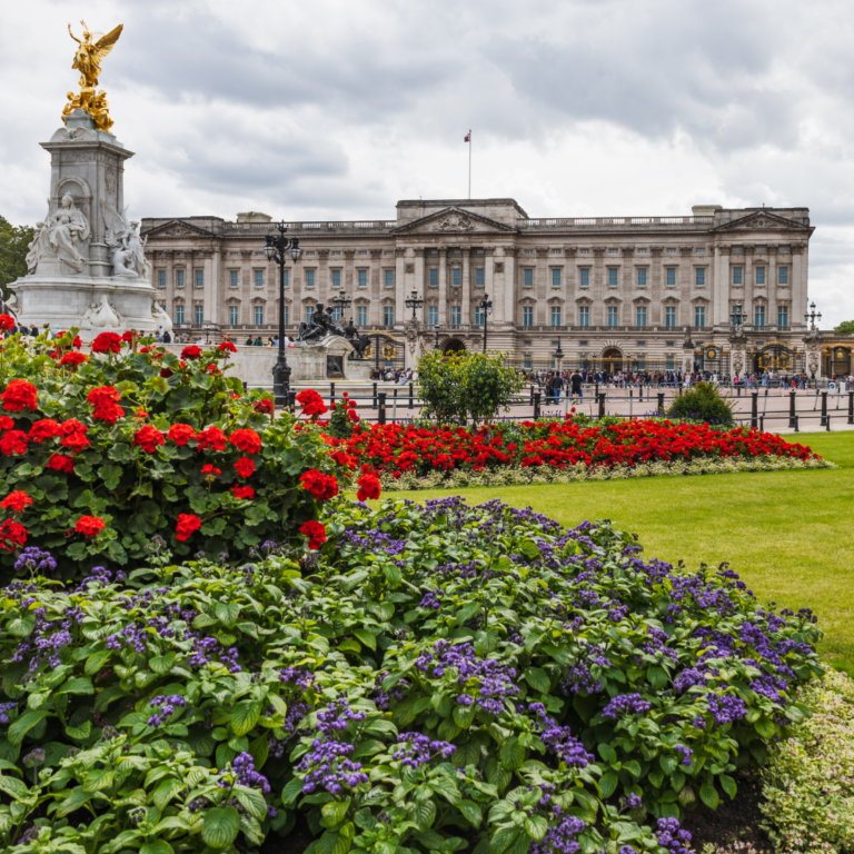 Funeral Director Pleads Guilty to Fraud and Mishandling Remains