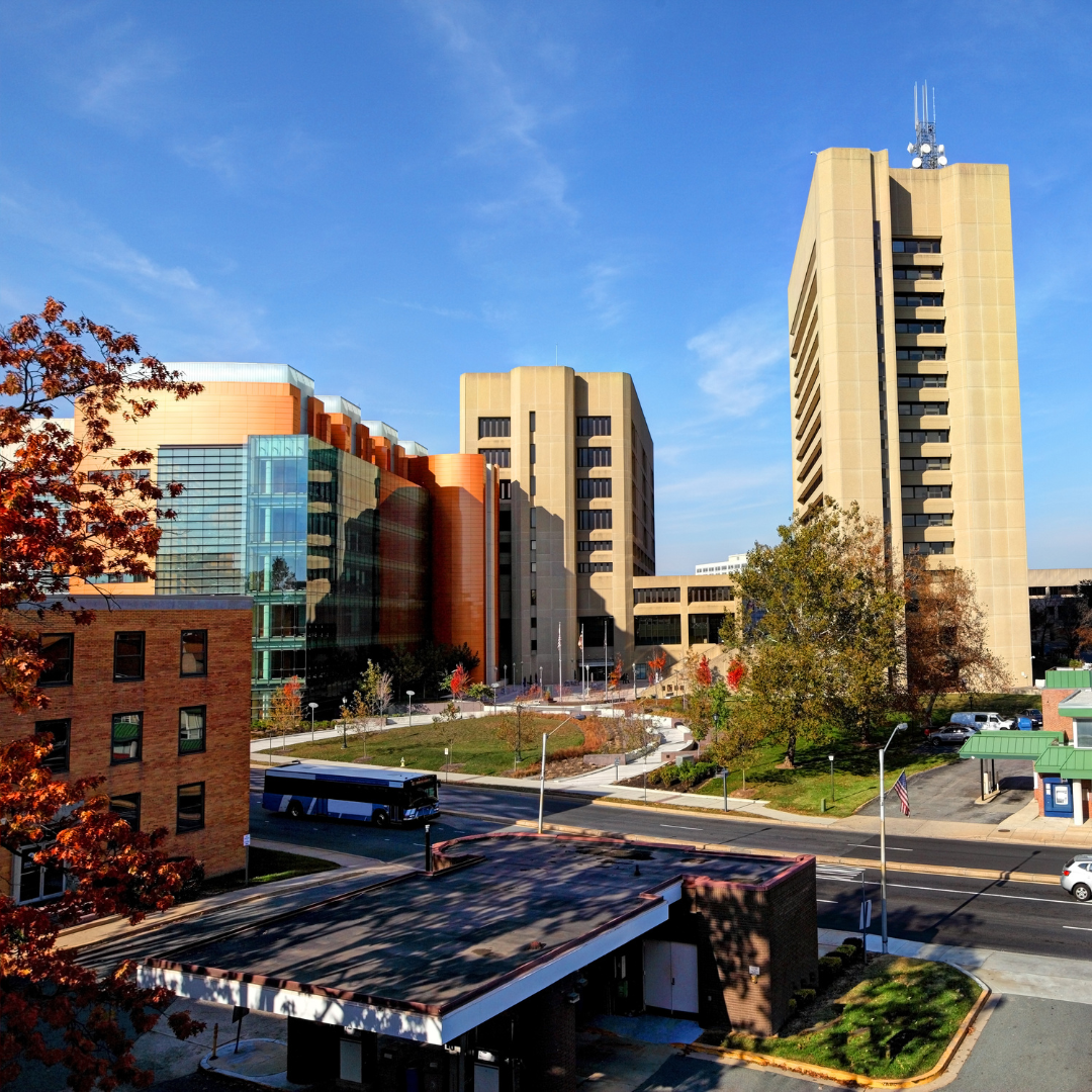 Rockville Centre Business Owner Admits $600K Workers’ Compensation Fraud