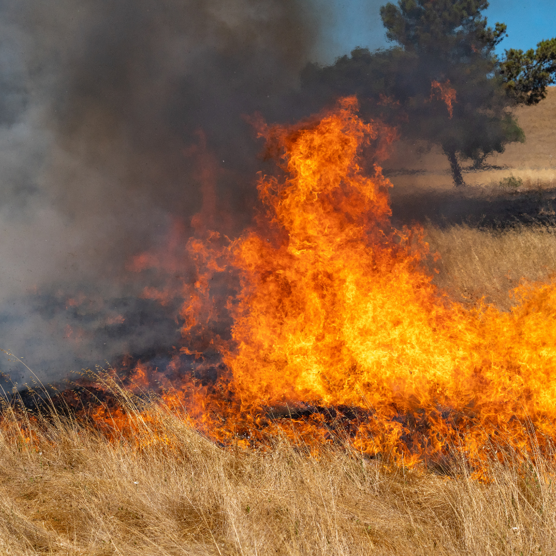 Property Insurance Fraud Investigations Intensify Over California Wildfire Claim Reviews